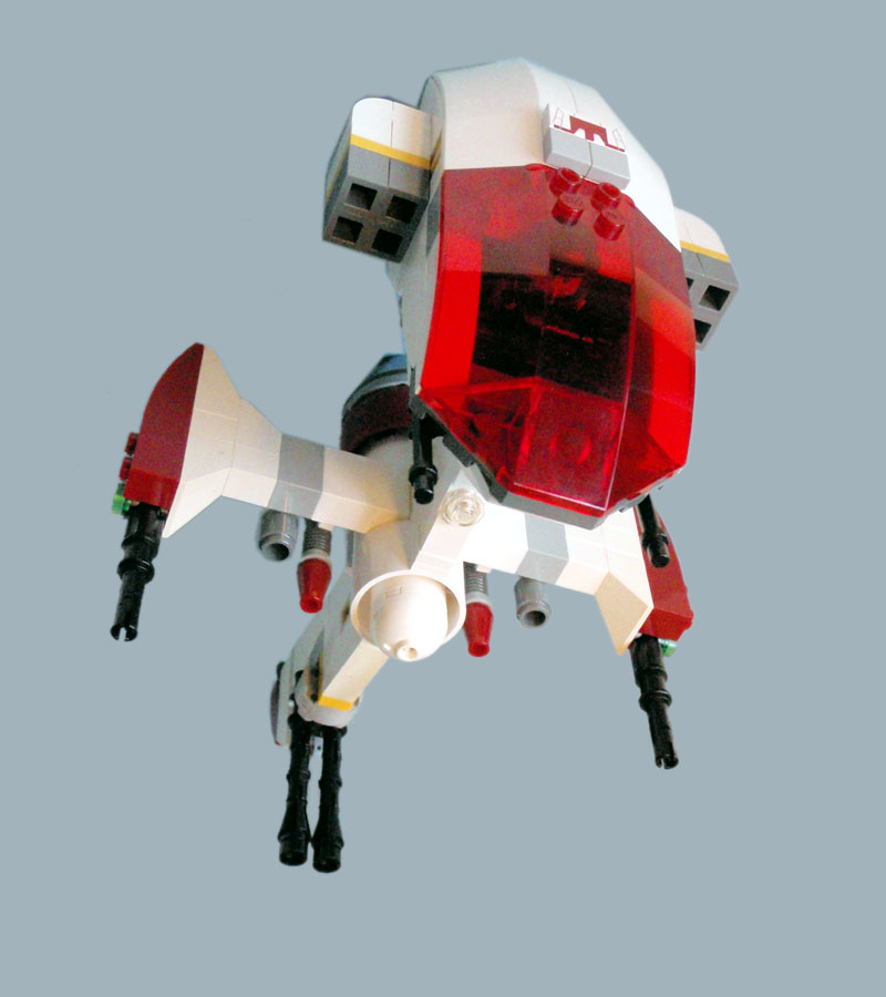 caracara_11.jpg