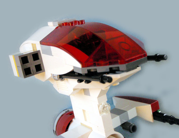 caracara_detail_1.jpg