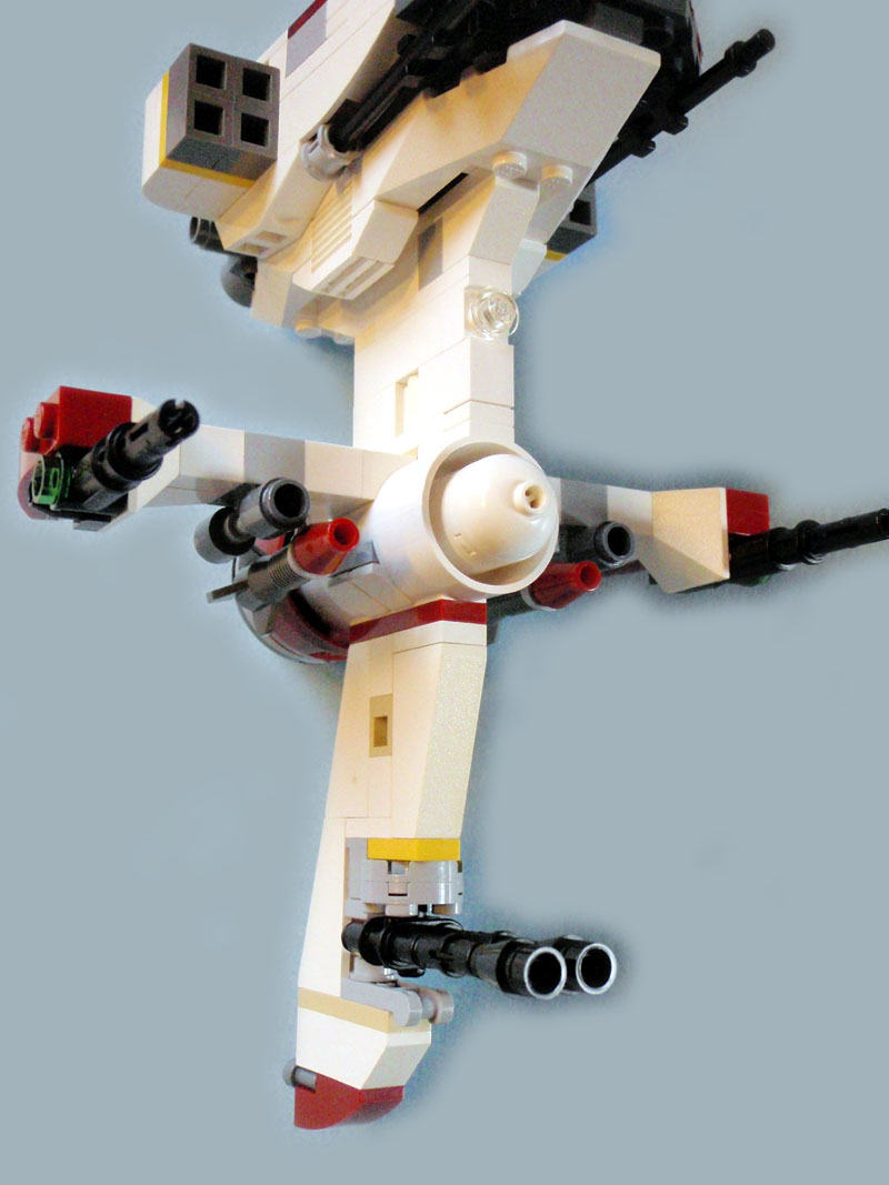 caracara_detail_2.jpg