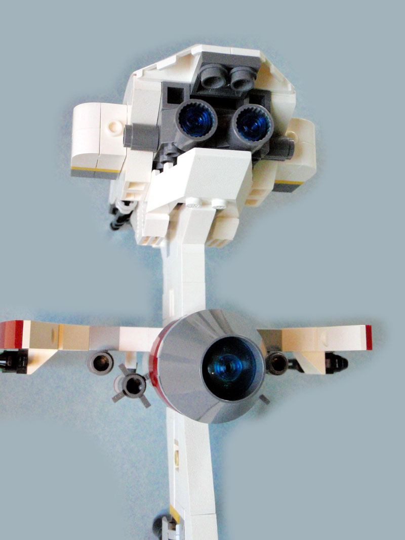 caracara_detail_3.jpg