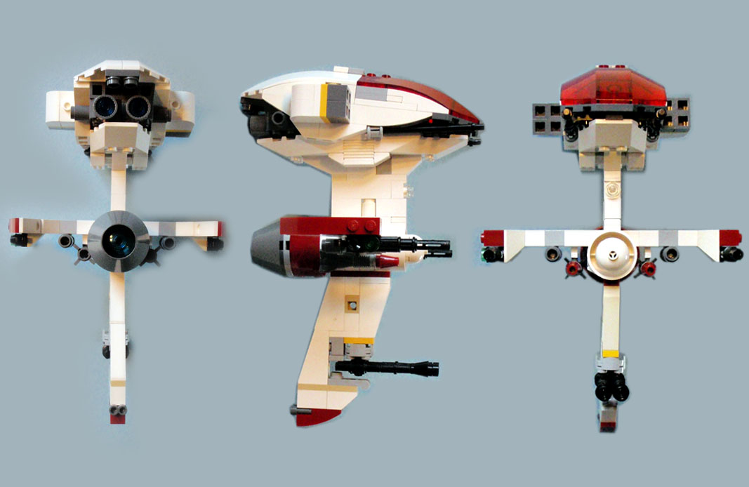 caracara_schema.jpg