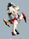 caracara_10.jpg
