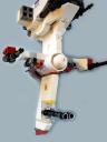 caracara_detail_2.jpg