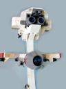 caracara_detail_3.jpg