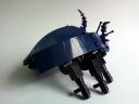 dwarfbug15.jpg