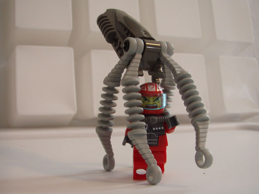 squid_01.jpg