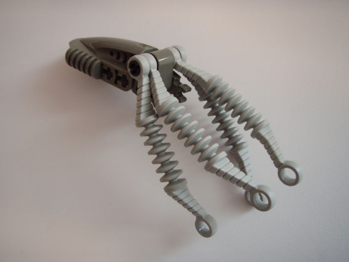 squid_02.jpg