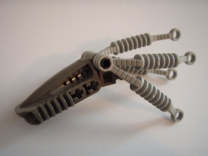 squid_03.jpg