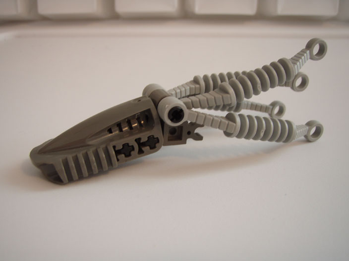 squid_05.jpg