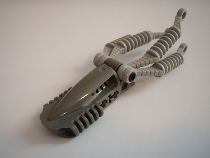 squid_07.jpg