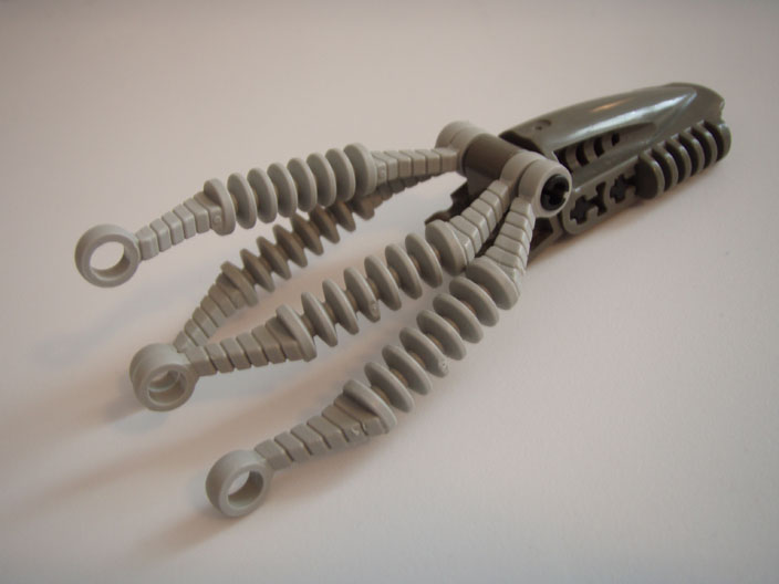 squid_08.jpg