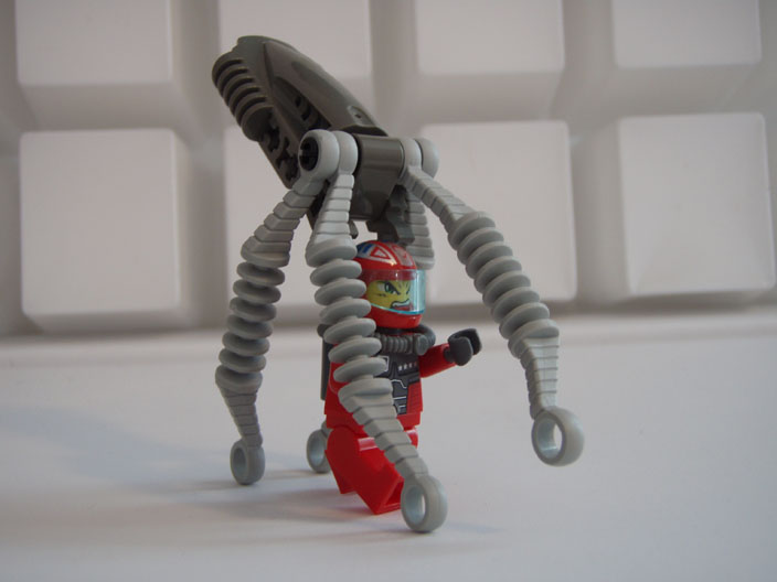 squid_09.jpg
