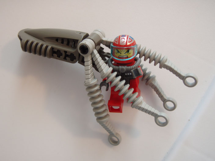 squid_10.jpg