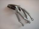 squid_02.jpg