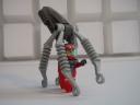 squid_09.jpg
