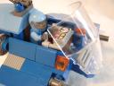 sparrow_008.jpg