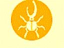 avayar.gif