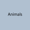 00.gif