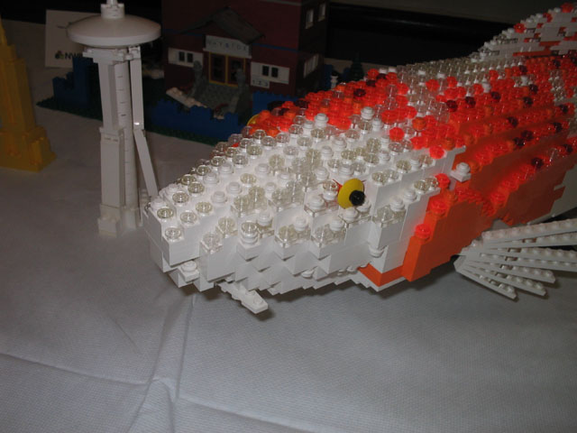 115_1550.jpg