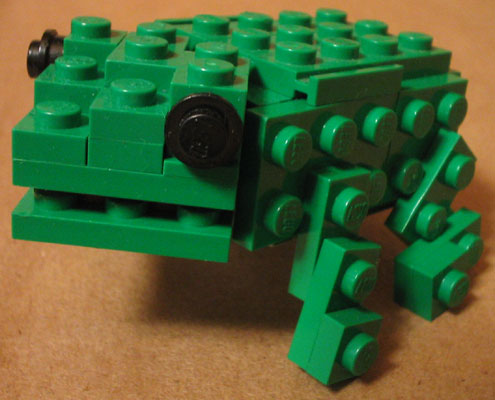 frog01.jpg
