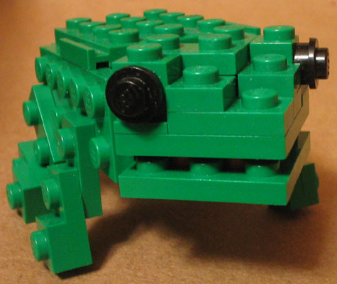 frog02.jpg