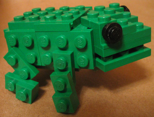 frog04.jpg