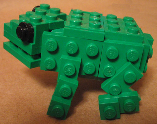 frog05.jpg
