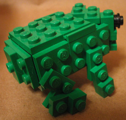 frog06.jpg