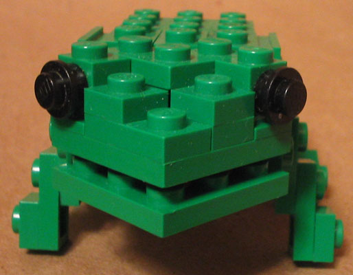 frog08.jpg