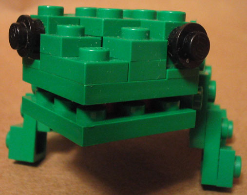 frog09.jpg
