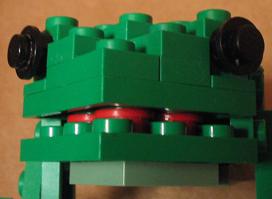 frog10.jpg