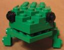 frog08.jpg