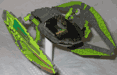 mantis01thumb.gif