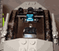 mantis11thumb.gif