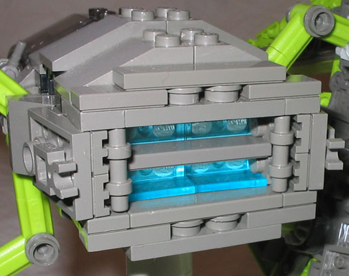 mantis12.jpg