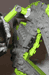 mantis13thumb.gif
