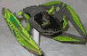 mantis01thumb.gif