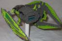 mantis05.jpg