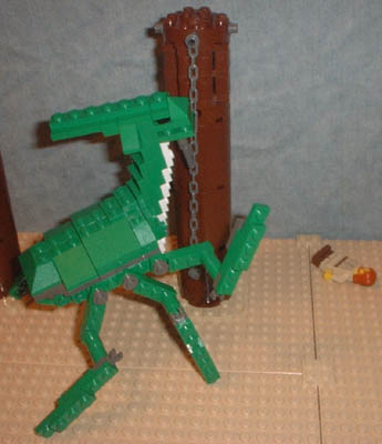 acklay11.jpg