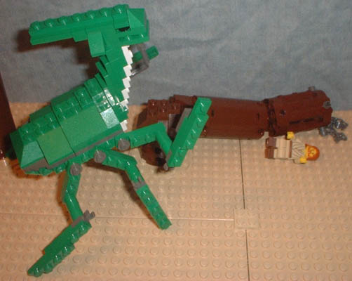 acklay12.jpg