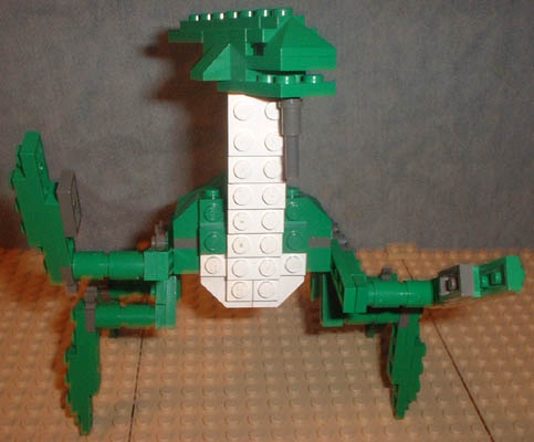acklay4.jpg
