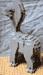 ronto03thumb.gif