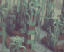 nabooswamp2thumb.gif