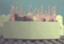 quigonjinnsfuneralpyre1thumb.gif