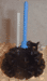 linv8k1thumb.gif