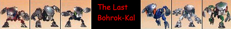 thelaskbohrokkalbanner.jpg