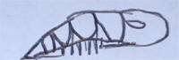 stage1.jpg