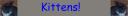 levabanner.jpg