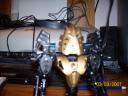 wiptol_005.jpg