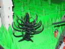 04-whompingwillow.jpg